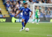 米兰体育官方网站-莱斯特城客场战平埃弗顿，英超领头羊延续不败神话，狐狸全队奉献的简单介绍