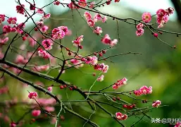 梅斯士气如虹，要做好准备