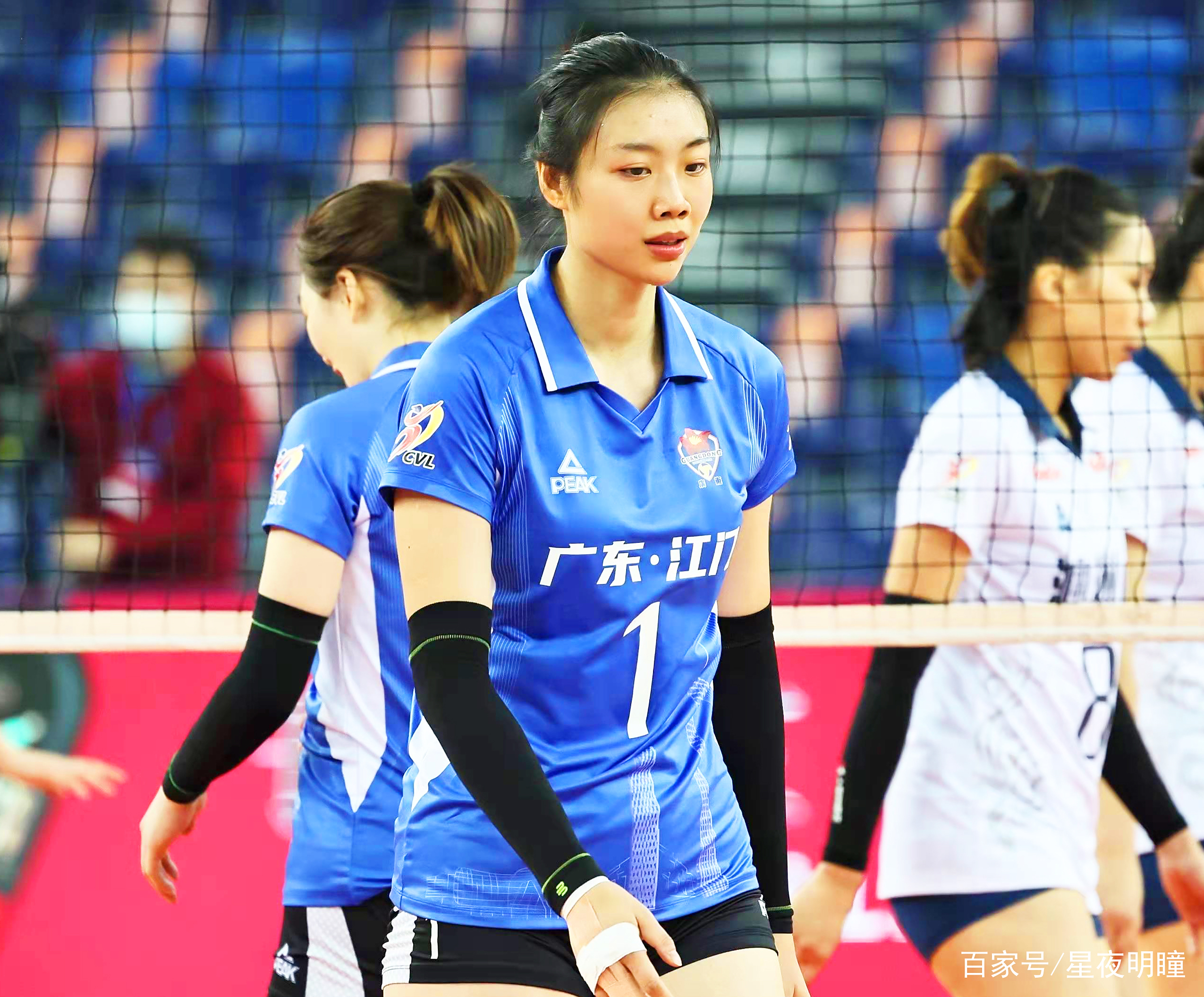 包含网队小将表现抢眼，获好评赞誉的词条